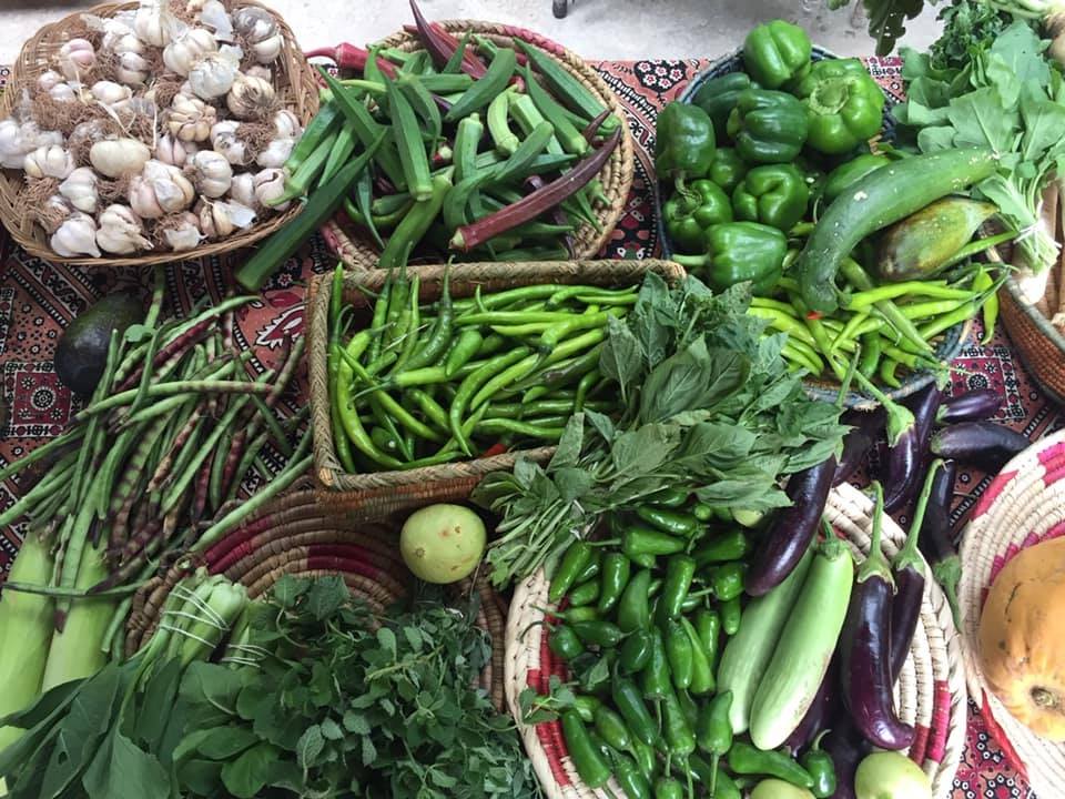 121056308_111825314023242_1359914678335227261_n