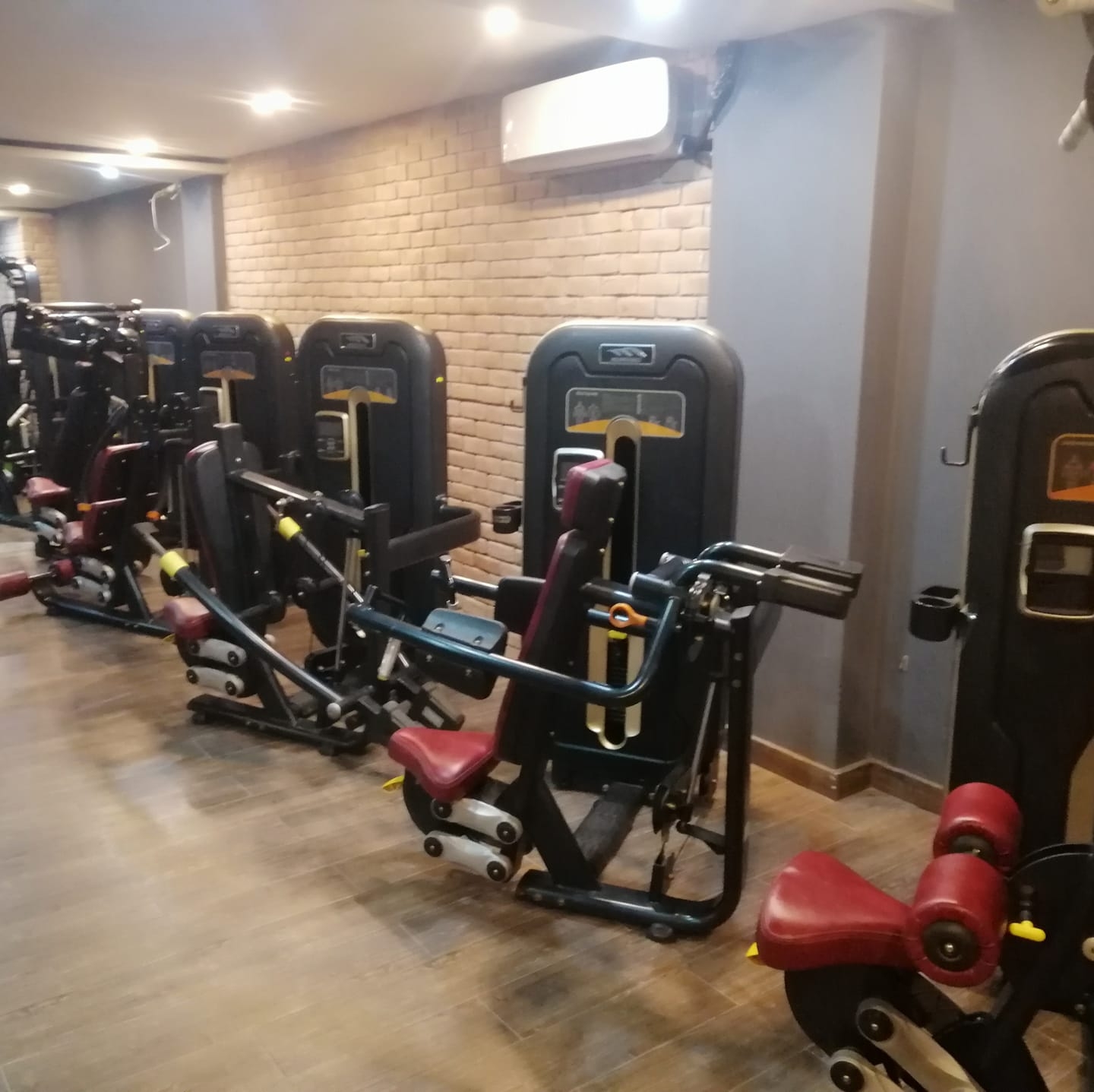 159477356_3730399383695532_805164607613419290_n