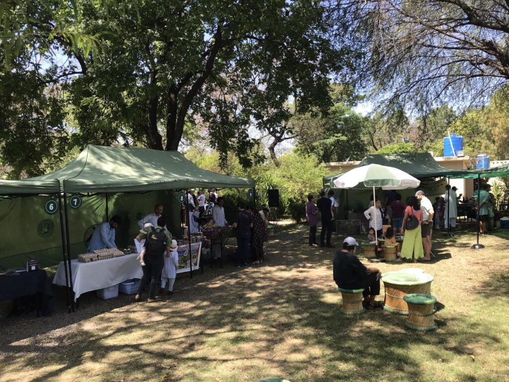 490471753_1252955730173114_4300009607805701685_n