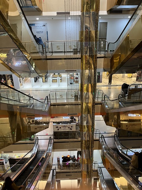 53208991273_ce3395de63_z