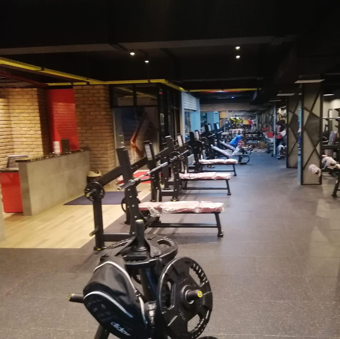 67418862_2303029529765865_534428905264644096_n