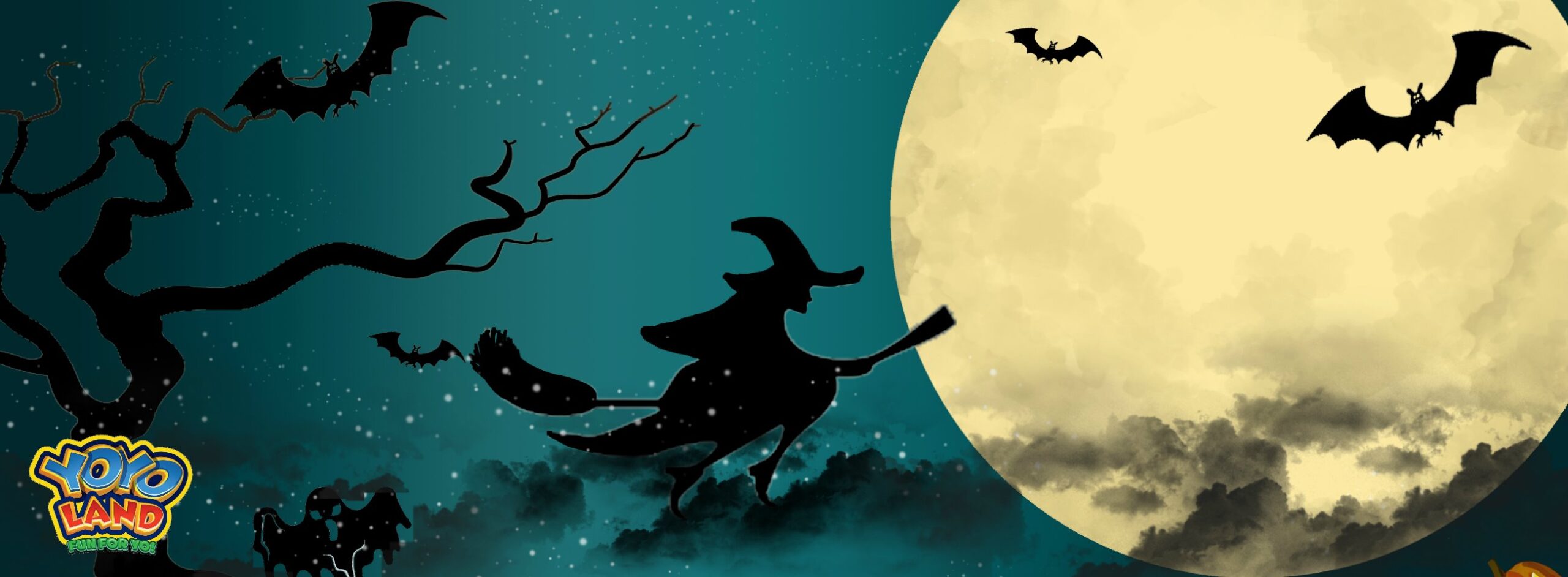 73533014_129322088477708_8889160213278490624_n