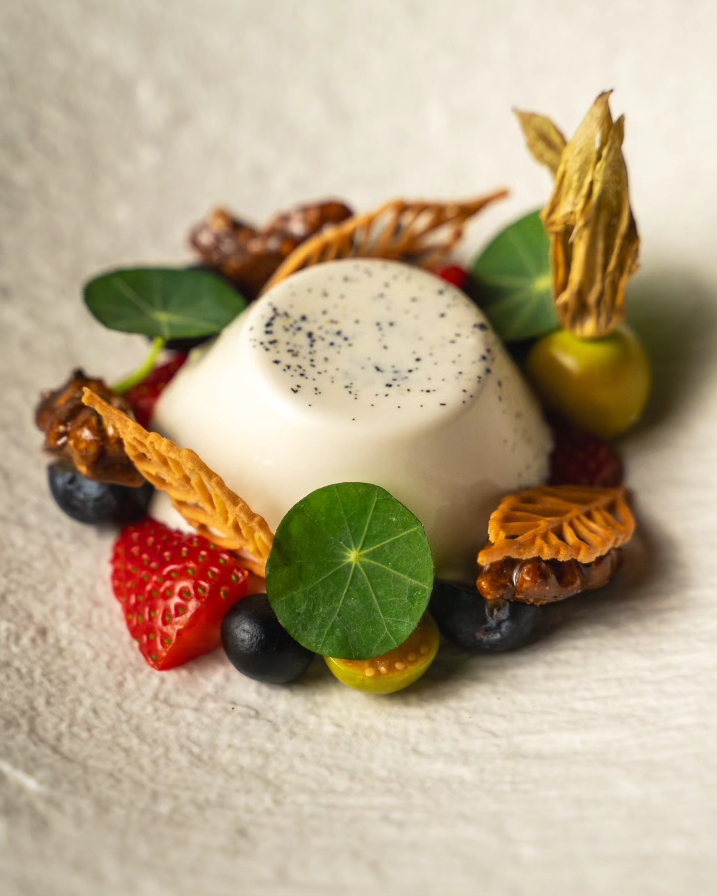 480931756_682954117389880_8823199811925455842_n