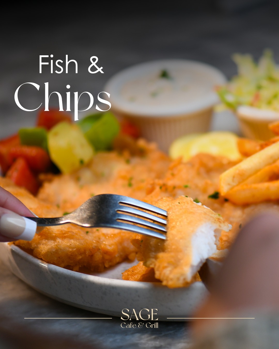 489772842_980301544276033_6690807639111930608_n