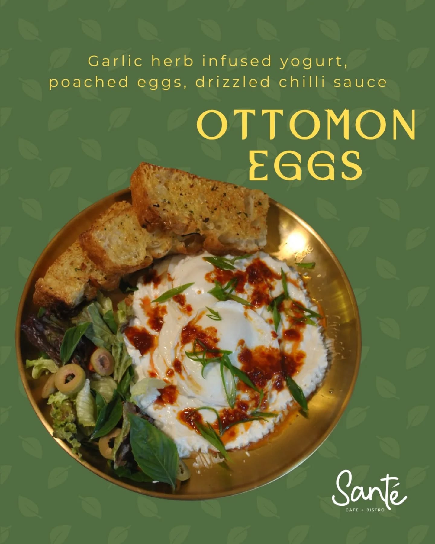 491462447_18039582446624856_8619037709280117591_n